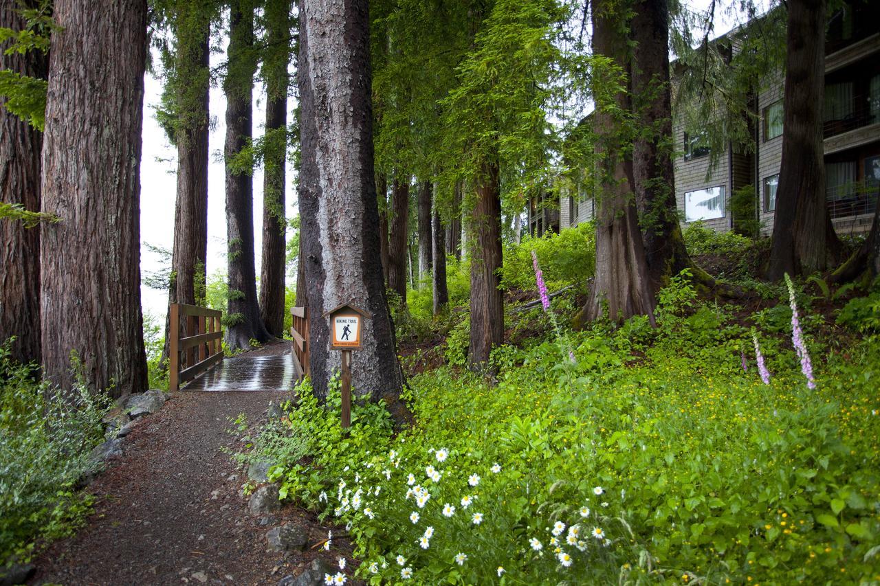 Lake Quinault Lodge Eksteriør bilde